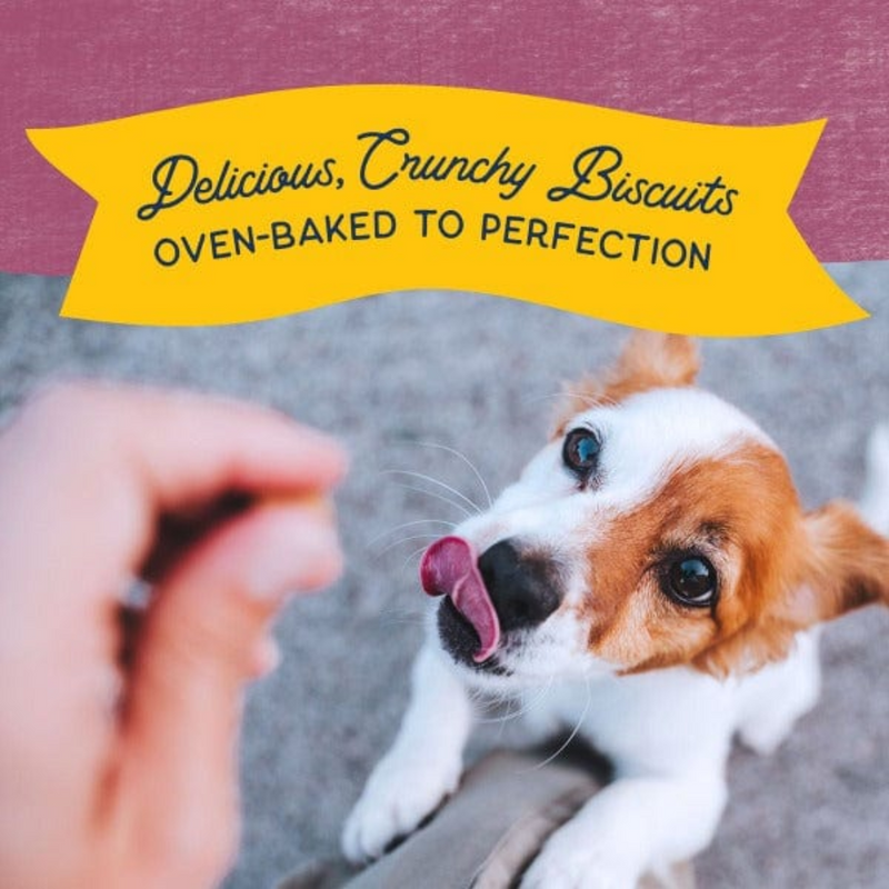 Natural Balance Rewards Bite-Size Crunchy Biscuits with Real Venison - Small Breed 8oz