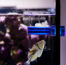 Innovative Marine Gourmet Defroster Pro