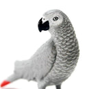 Safari Ltd. African Gray Parrot