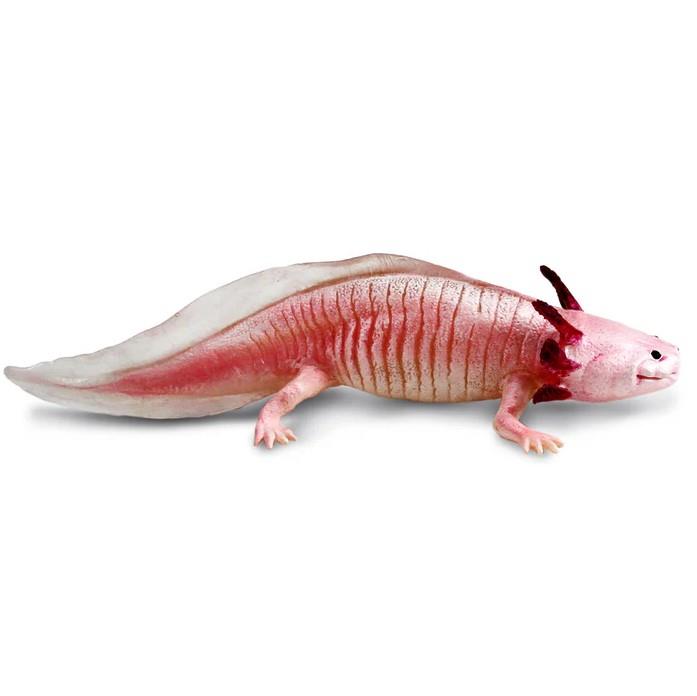 Safari Ltd. Axolotl