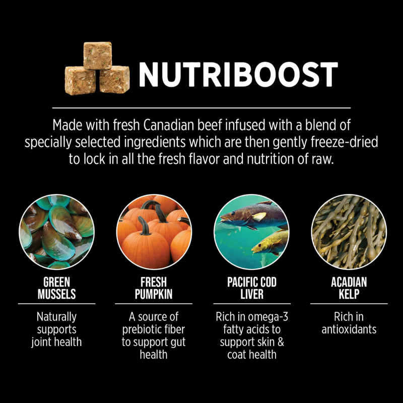 Nutrience SubZero Prairie Red High Protein Dog Food