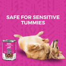 Koha Minimal Ingredient Pork Stew for Dogs 360g