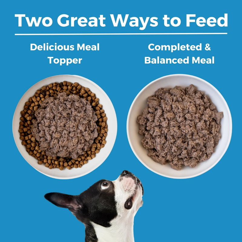 Koha Limited Ingredient Diet Lamb Entrée for Dogs 369g