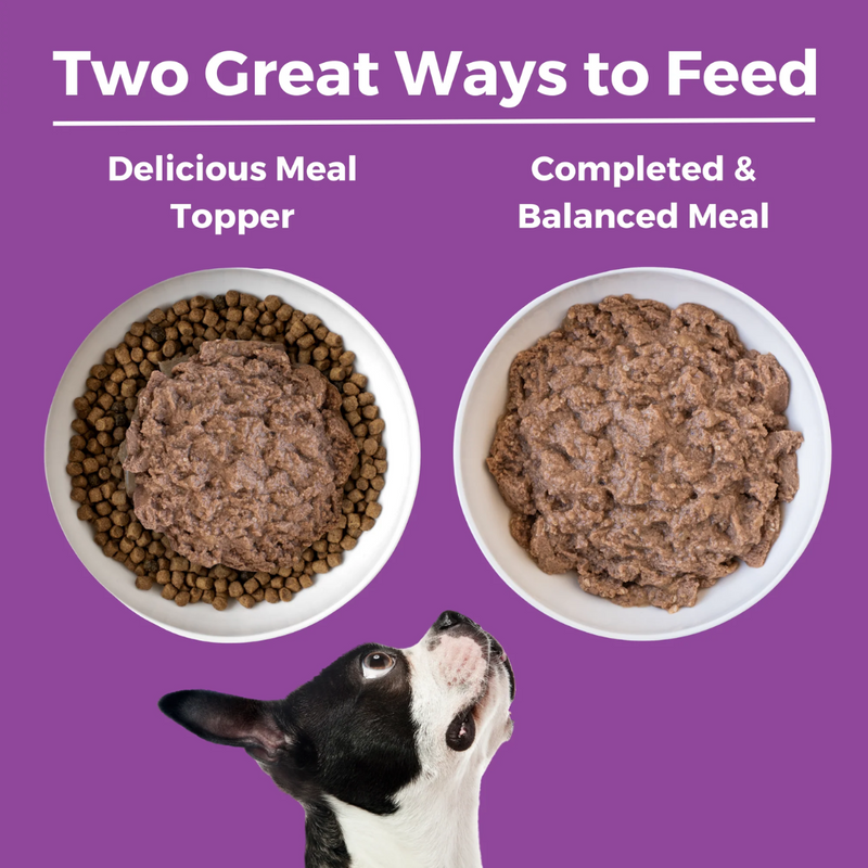 Koha Limited Ingredient Diet Kangaroo Entrée for Dogs 368g