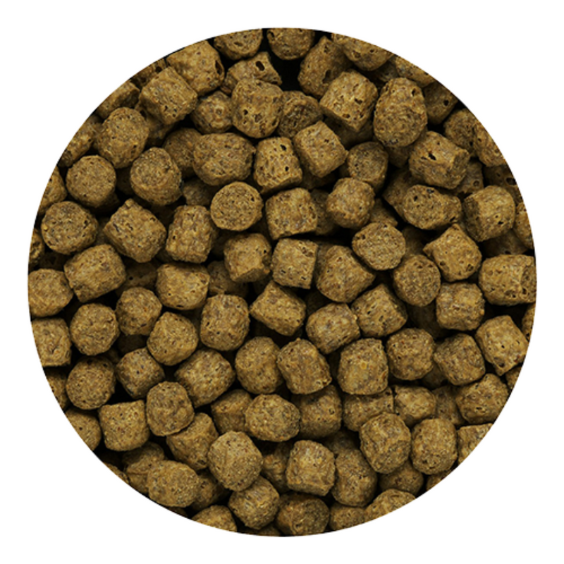 Hikari Silkworm Selects Medium Pellet Fish Food 500g