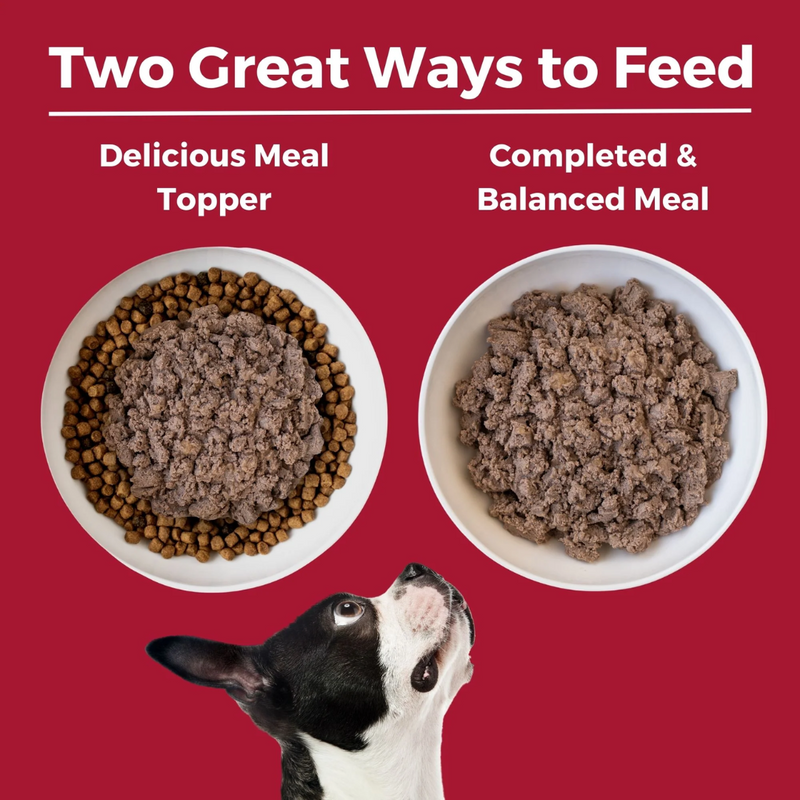 Koha Limited Ingredient Diet Beef Entrée for Dogs 369g