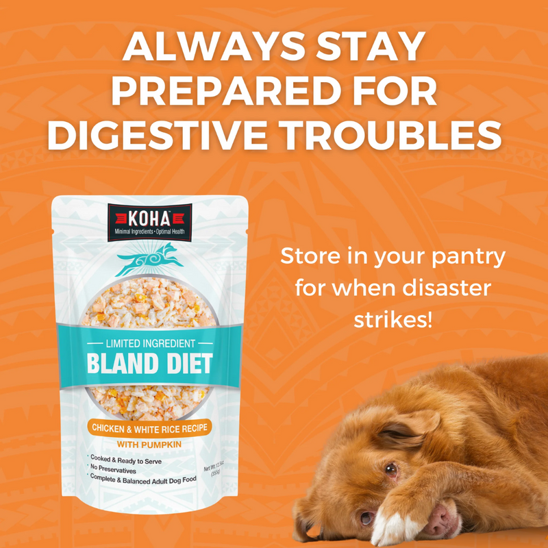 Koha Limited Ingredient Bland Diet Chicken & White Rice Recipe for Dogs 355g