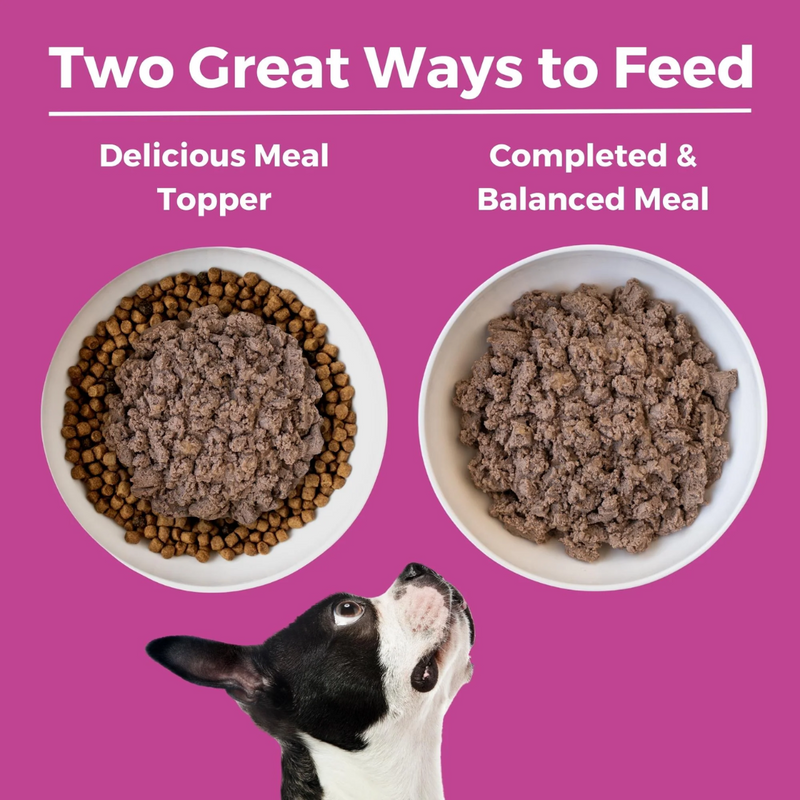 Koha Limited Ingredient Diet Pork Entrée for Dogs 369g