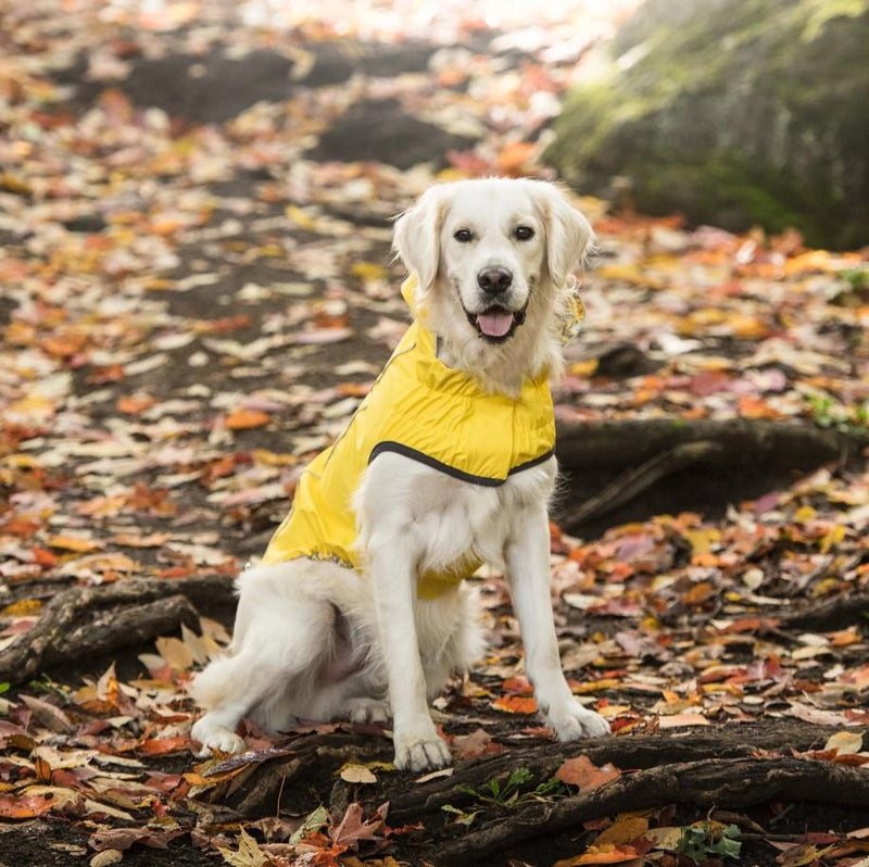 GF Pet Reversible Raincoat - Yellow Leaves