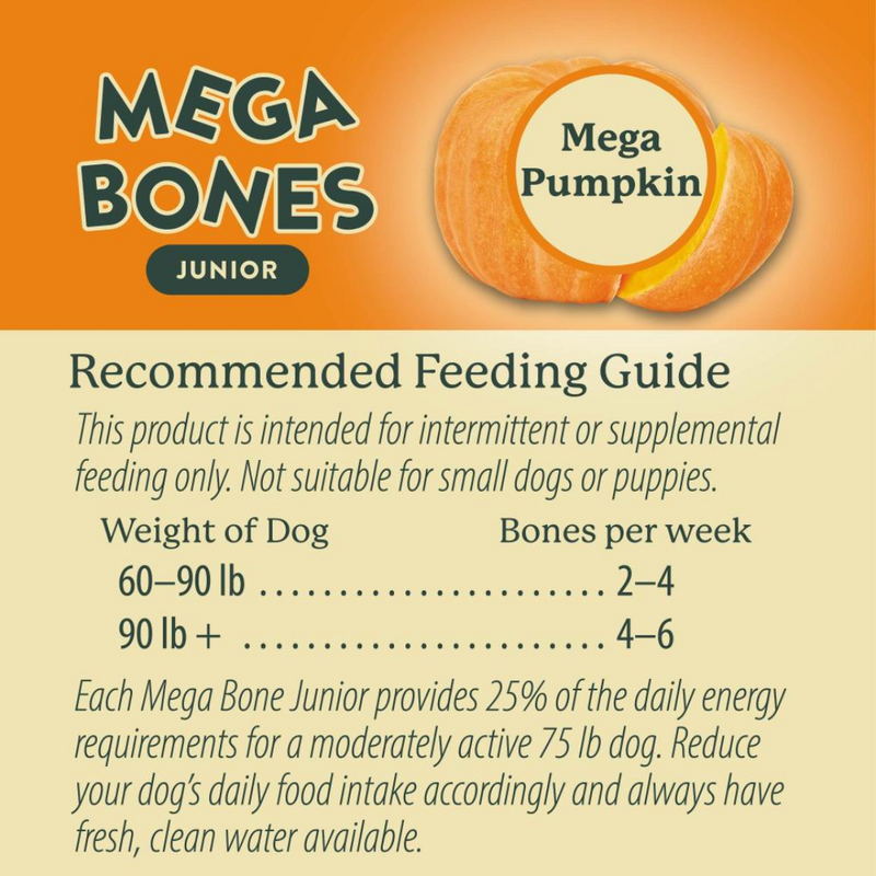 Darford Mega Bones Junior Pumpkin Dog Treat 100g