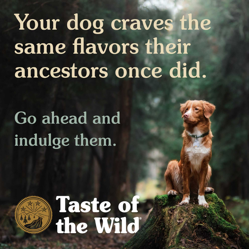 Taste of the Wild Ancient Stream Dog Food