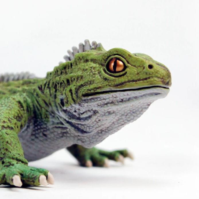 Safari Ltd. Tuatara