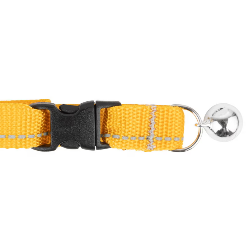 RC Pets Primary Kitty Breakaway Collar Marigold