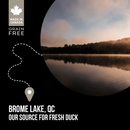 Nutrience SubZero Northern Lakes Fish & Duck Dog Food 10kg