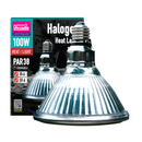 Arcadia Halogen Heat Lamp