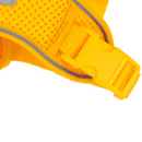 RC Pets Adventure Kitty Harness Marigold