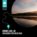 Nutrience SubZero Duck & Pear Limited Ingredient Cat Food