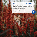 Farmina N&D Quinoa Urinary Recipe Wet Cat Food 80g