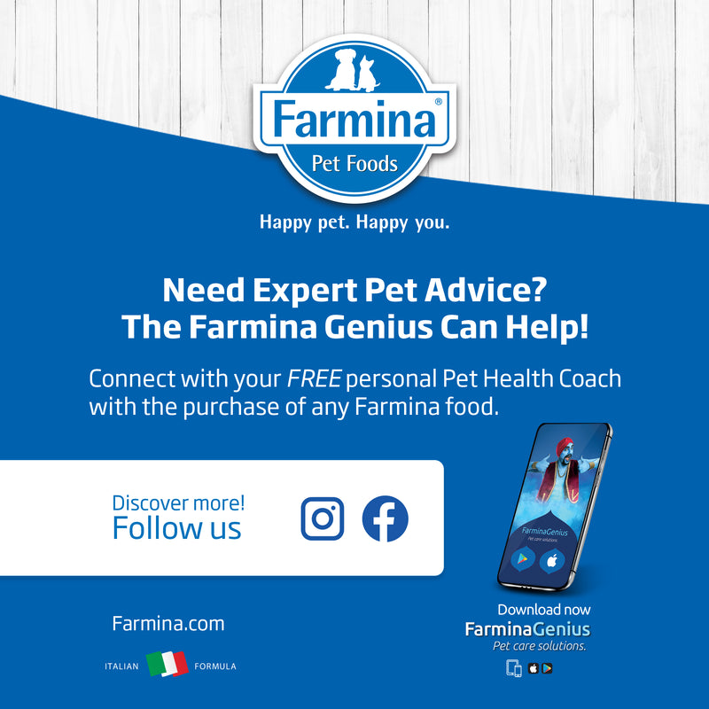 Farmina N&D Quinoa Urinary Recipe Wet Cat Food 80g