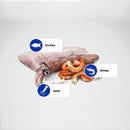 Farmina N&D Ocean Sea Bass, Squid & Shrimp Recipe Wet Cat Food 70g