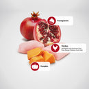 Farmina N&D Pumpkin Chicken, Pumpkin & Pomegranate Recipe Wet Cat Food 70g