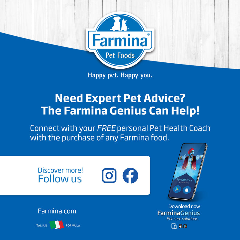 Farmina N&D Pumpkin Lamb, Pumpkin & Blueberry Recipe Wet Cat Food 70g