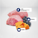 Farmina N&D Pumpkin Lamb, Pumpkin & Blueberry Recipe Wet Cat Food 70g