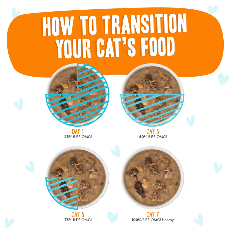 Weruva BFF OMG Gravy Chicken, Turkey, & Salmon Purr-Fect Plannin'! Wet Cat Food Pouch 80g