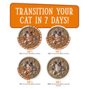 Weruva Cats in the Kitchen Pumpkin Jack Splash Wet Cat Food Pouch 85g