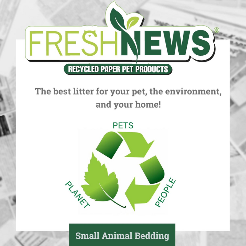 Fresh News Small Animal Bedding