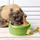 Vitakraft Oven Baked Raviolos Treat for Rabbits, Guinea Pigs & Hamsters 141g