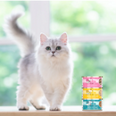 Weruva Cats in the Kitchen Kitty Gone Wild Wet Cat Food 170g