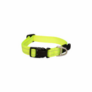 Rogz Utility Classic Dog Collar - X-Large