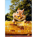 Avanti Greeting Card Chipmunk Corn Teeth Friendship
