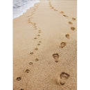 Avanti Greeting Card Pet Sympathy - Human & Dog Footprints