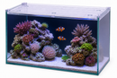 Peter's Aquaverse Rimless Aquarium - Multiple Sizes