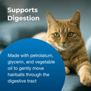 PetAg Hairball Solution Gel Supplement for Cats 100g