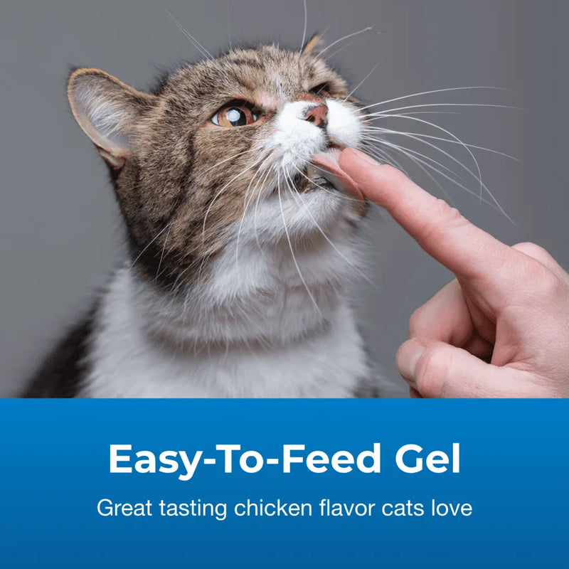 PetAg High Calorie Gel Supplement for Cats 100g