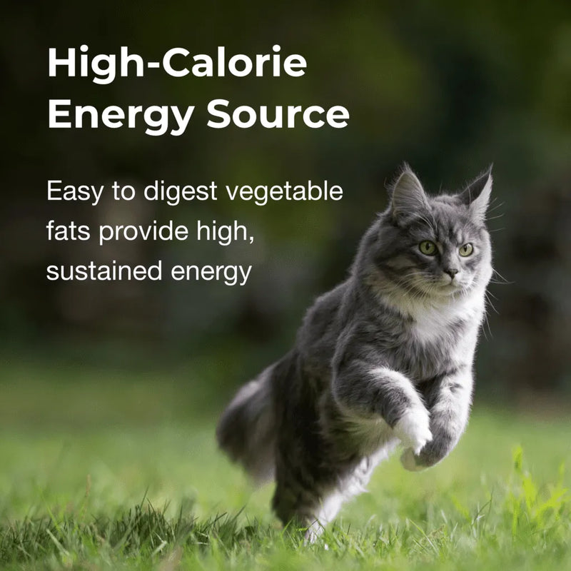PetAg High Calorie Gel Supplement for Cats 100g
