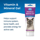 PetAg Vitamin & Mineral Gel Supplement for Cats 100g