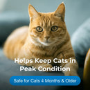 PetAg Vitamin & Mineral Gel Supplement for Cats 100g