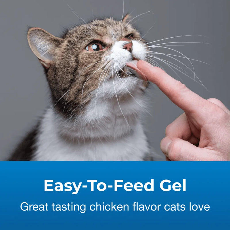 PetAg Vitamin & Mineral Gel Supplement for Cats 100g