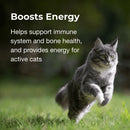 PetAg Vitamin & Mineral Gel Supplement for Cats 100g