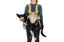 Ruffwear Backtrak Evacuation Kit