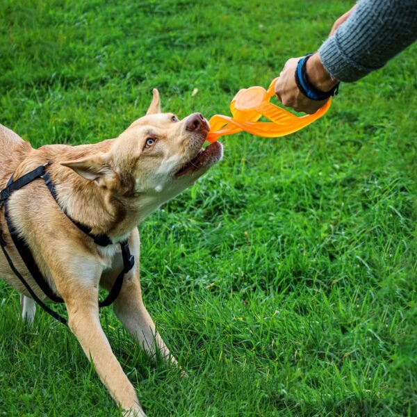 Bionic Toss-n-Tug
