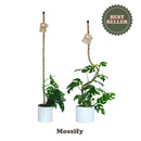 Mossify Bendable Coir Pole w/Tape