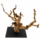 Jurrasic Grapewood Bird Perch - 2 Sizes!