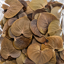 Peter's Botanicals Heart Leaves