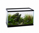 Marineland Aquarium - Black