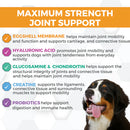 Nootie ProgilityMax Hip & Joint Soft Chew Supplements for Dogs 510g